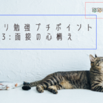 なないろキャリアの国キャリ勉強プチポイント #3