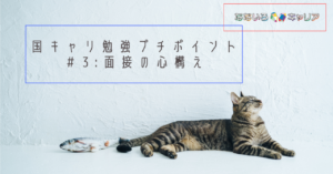 なないろキャリアの国キャリ勉強プチポイント #3