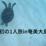 田嶋初の1人旅in奄美大島