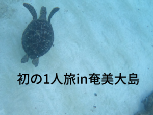 田嶋初の1人旅in奄美大島